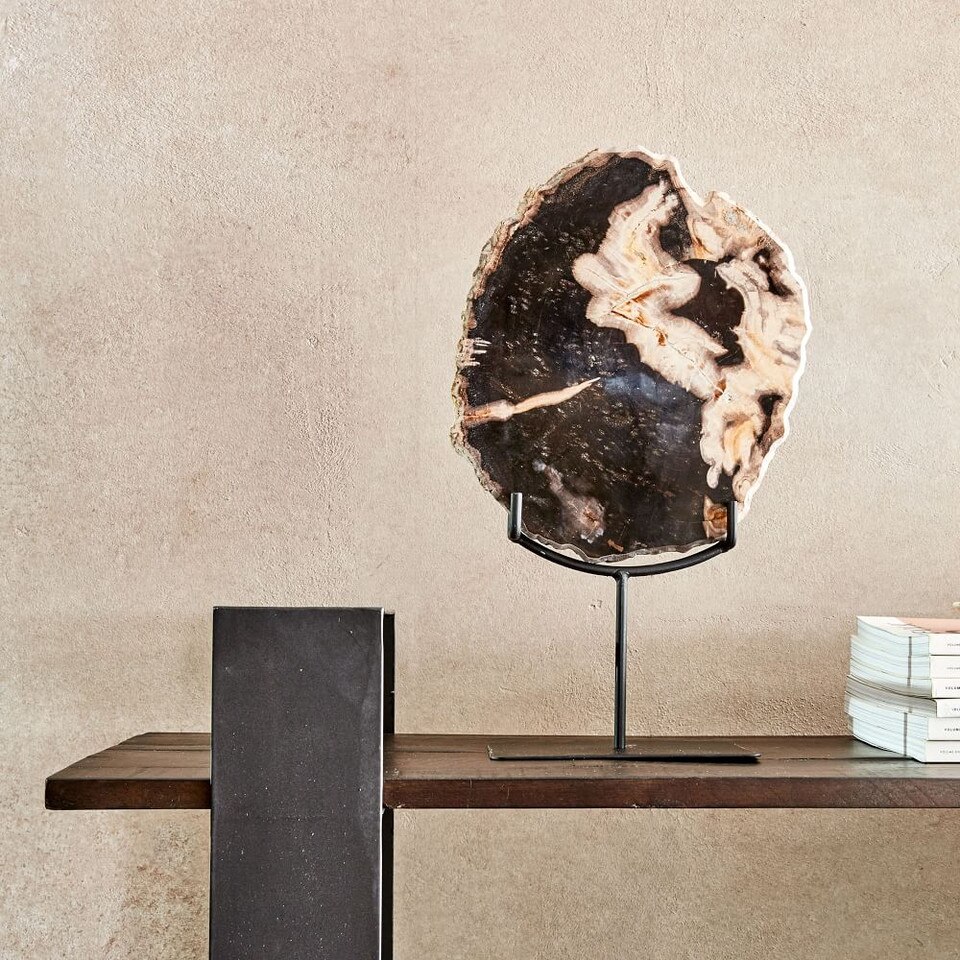 Petrified Wood Object on Stand West Elm UK